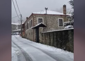 Στα λευκά η Βλάστη Εορδαίας από τις πρωινές ώρες (Βίντεο)