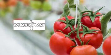 H “Wonderplant” νοίκιασε γραφεία στην Πτολεμαΐδα – Επιβεβαιώνεται η έλευση της επένδυσης