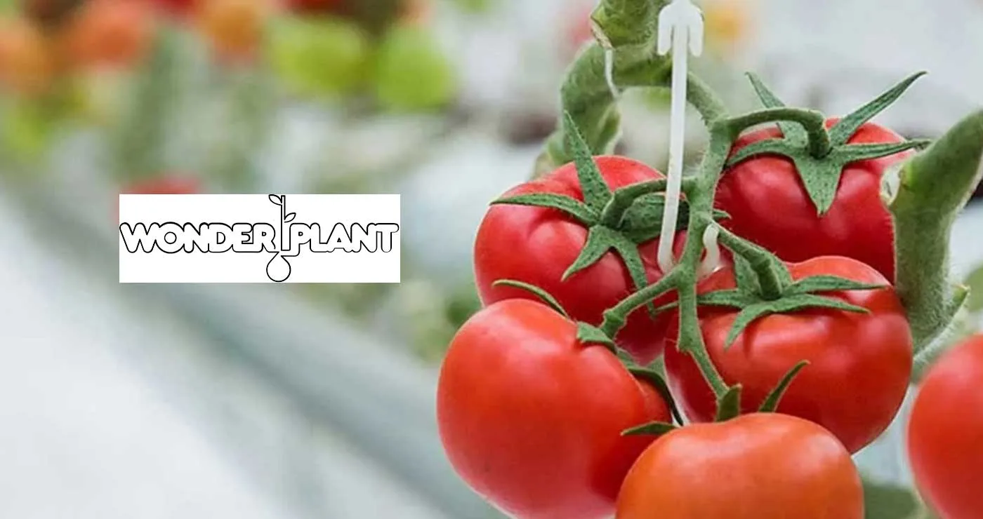 H “Wonderplant” νοίκιασε γραφεία στην Πτολεμαΐδα – Επιβεβαιώνεται η έλευση της επένδυσης