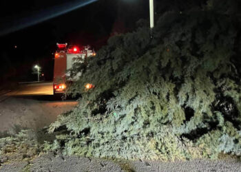 Δέντρα έπεσαν από τους ισχυρούς ανέμους στη Χαραυγή κλείνοντας το δρόμο – Επενέβη η Πυροσβεστική