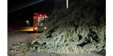 Δέντρα έπεσαν από τους ισχυρούς ανέμους στη Χαραυγή κλείνοντας το δρόμο – Επενέβη η Πυροσβεστική