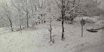 Επιστολή Κασαπίδη στον Περιφερειάρχη για «αιφνιδιασμό των αρχών» από την κακοκαιρία: «Καθυστέρηση μιάμιση ώρα για οδηγούς και ΚΤΕΛ στην Ανθρακιά»