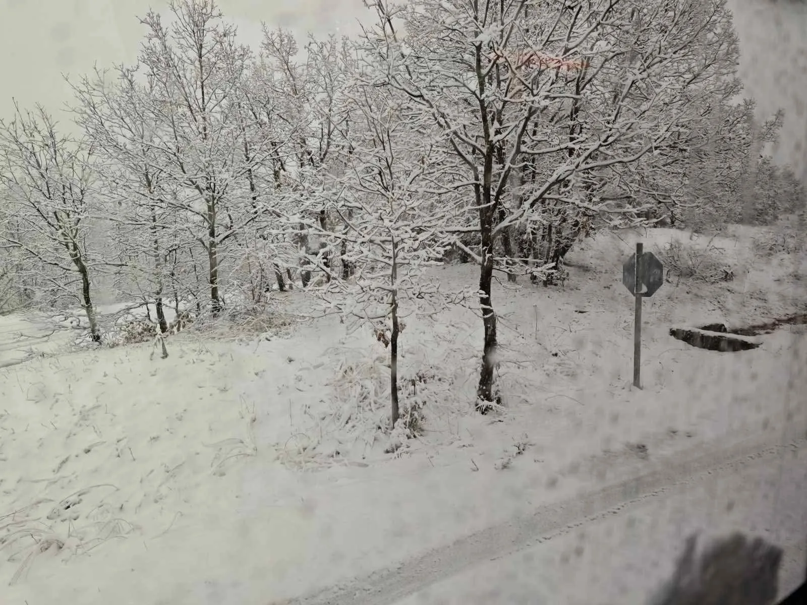 Επιστολή Κασαπίδη στον Περιφερειάρχη για «αιφνιδιασμό των αρχών» από την κακοκαιρία: «Καθυστέρηση μιάμιση ώρα για οδηγούς και ΚΤΕΛ στην Ανθρακιά»