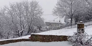 Πρωινό χιόνι στη Μόρφη Βοΐου το πρωί της Κυριακής (Βίντεο)