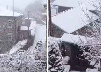 “Το ‘στρωσε” στο Νυμφαίο Φλώρινας (Βίντεο)