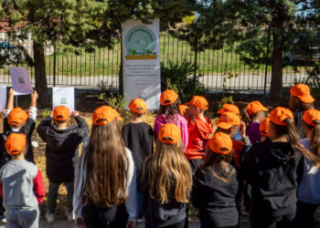 Βιώσιμη γεωργία στα σχολεία: ΔΕΗ και Open Farm «έσπειραν» πράσινες δεξιότητες και στη Δυτική Μακεδονία