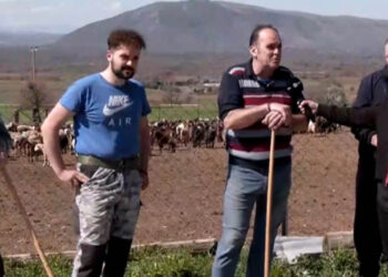 Κοζάνη: Κτηνοτρόφοι στο αυτόφωρο επειδή «σπάνε» την καραντίνα και βγάζουν τα κοπάδια τους έξω