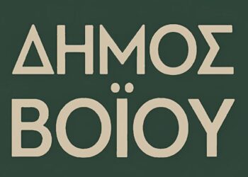 Λογότυπο του Δήμου Βοΐου, σημαντικό για την οδοποιία Βοΐου και την επιχειρηματικότητα στην περιοχή.