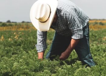 Οι αγρότες της Πτολεμαΐδας ζητούν αναδασμό