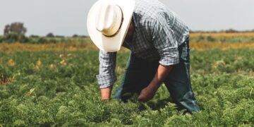 Οι αγρότες της Πτολεμαΐδας ζητούν αναδασμό