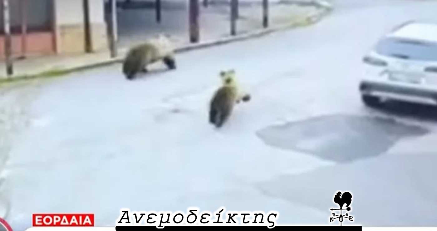 Αποκτήσαμε και… αρκουδοδρομίες τώρα; – Μ’ ένα σμπάρο, δύο… τρυγόνια! – Ο ΑΝΕΜΟΔΕΙΚΤΗΣ σχολιάζει