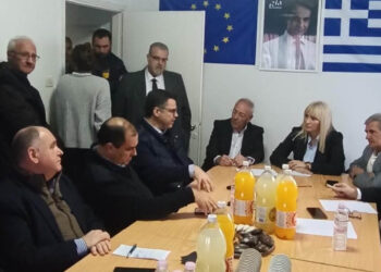 Φλώρινα: Δημογραφικό, Εγνατία και υγεία έθεσε η ΔΕΕΠ της ΝΔ στο κυβερνητικό κλιμάκιο