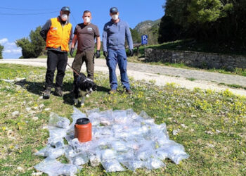 Οικολογικό έγκλημα στον Γράμμο: 157 δηλητηριασμένα δολώματα «έσπειραν» τον θάνατο – (Φωτογραφίες)