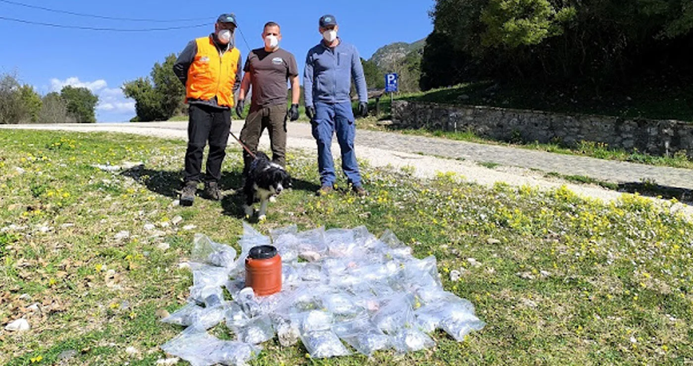 Οικολογικό έγκλημα στον Γράμμο: 157 δηλητηριασμένα δολώματα «έσπειραν» τον θάνατο – (Φωτογραφίες)