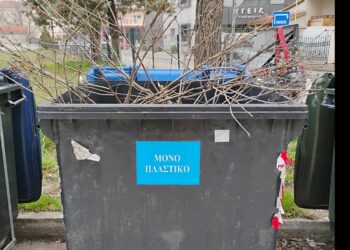Πτολεμαΐδα: Κλαδιά σε κάδο «μόνο για πλαστικό» – Φωτογραφία αναγνώστη καυτηριάζει τη συμπεριφορά πολιτών