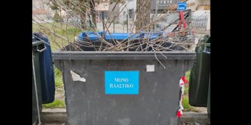 Πτολεμαΐδα: Κλαδιά σε κάδο «μόνο για πλαστικό» – Φωτογραφία αναγνώστη καυτηριάζει τη συμπεριφορά πολιτών