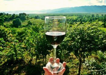 Προβολή Οίνων και Οινοτουρισμού της Δυτικής Μακεδονίας στη Σερβική αγορά