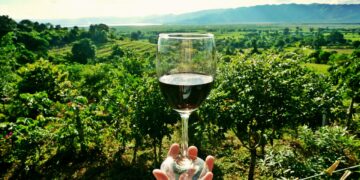 Προβολή Οίνων και Οινοτουρισμού της Δυτικής Μακεδονίας στη Σερβική αγορά