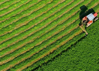 «Κόκκινες» και «καθαρές» αποζημιώσεις μηδικής από το Υπουργείο Αγροτικής Ανάπτυξης- Προβληματισμός για τους διαχωρισμούς των περιοχών και στη Δυτική Μακεδονία
