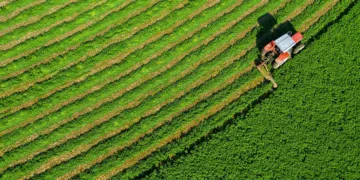 «Κόκκινες» και «καθαρές» αποζημιώσεις μηδικής από το Υπουργείο Αγροτικής Ανάπτυξης- Προβληματισμός για τους διαχωρισμούς των περιοχών και στη Δυτική Μακεδονία