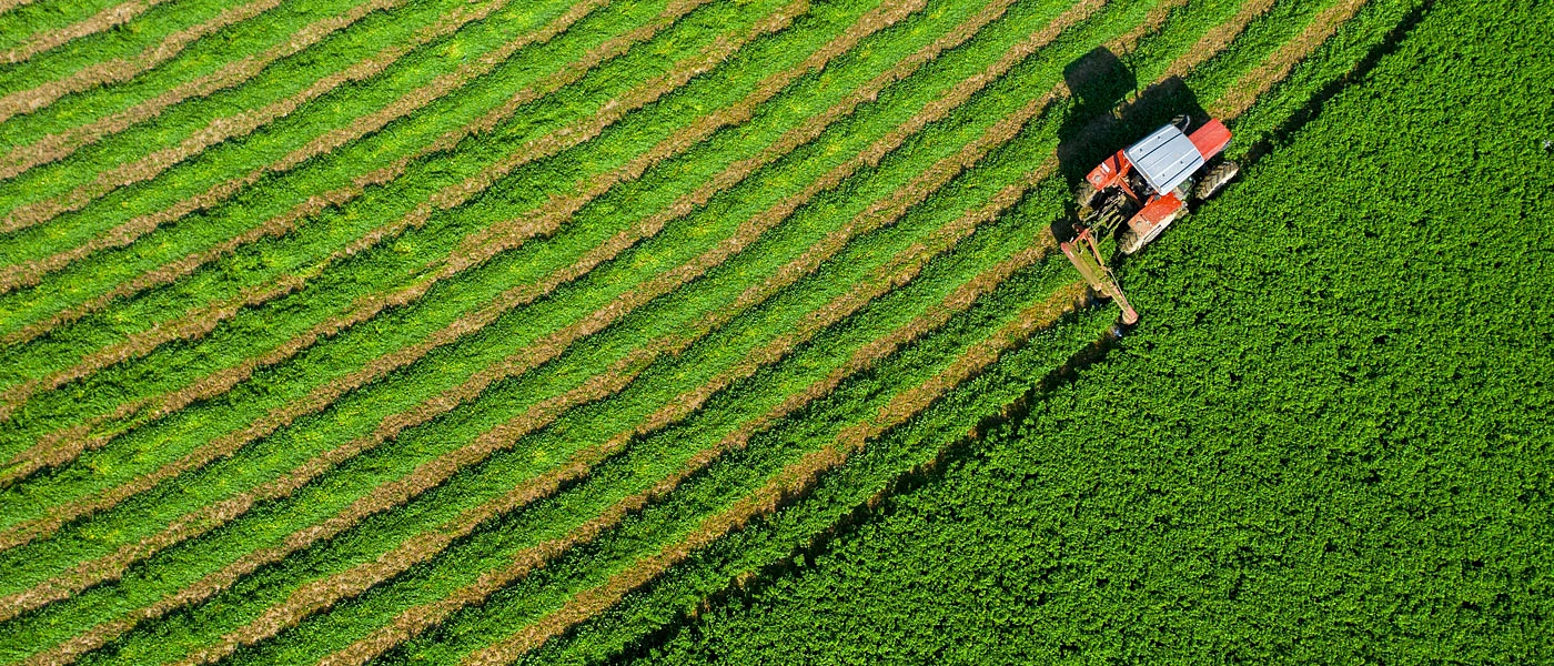 «Κόκκινες» και «καθαρές» αποζημιώσεις μηδικής από το Υπουργείο Αγροτικής Ανάπτυξης- Προβληματισμός για τους διαχωρισμούς των περιοχών και στη Δυτική Μακεδονία