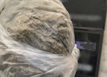 Φλώρινα: Σύλληψη 24χρονου για διακίνηση ναρκωτικών – Βρήκαν στο σπίτι του 165 γρ. κάνναβης