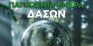 Δράση στη Φλώρινα για την Παγκόσμια Ημέρα Δασών στην πλατεία Μόδη