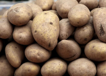 Αποκαλύφθηκε απάτη με πατάτες Αιγύπτου που πωλούνταν ως ελληνικές – Πρόστιμα 62.000 ευρώ