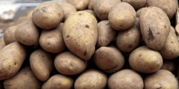 Αποκαλύφθηκε απάτη με πατάτες Αιγύπτου που πωλούνταν ως ελληνικές – Πρόστιμα 62.000 ευρώ