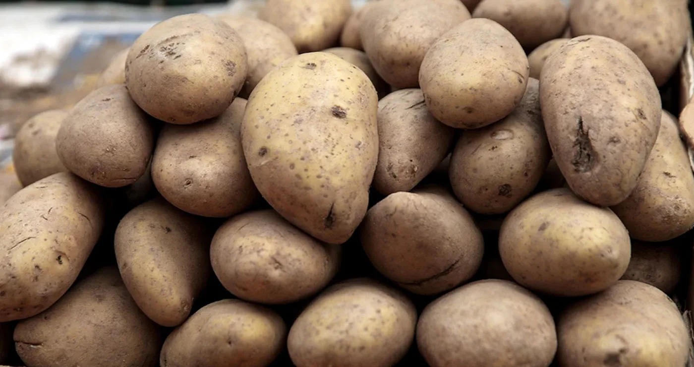 Αποκαλύφθηκε απάτη με πατάτες Αιγύπτου που πωλούνταν ως ελληνικές – Πρόστιμα 62.000 ευρώ