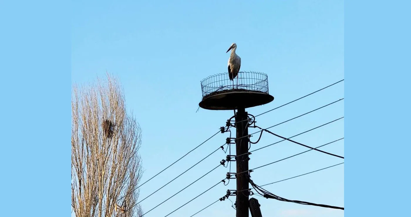 Ο πρώτος πελαργός έφτασε στη Νίκη Φλώρινας