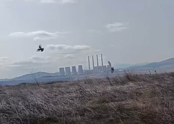 Κυνηγετικός Σύλλογος Εορδαίας: Σώθηκαν οι βιότοποι της πεδινής πέρδικας στις εκτάσεις της ΔΕΗ στην Εορδαία