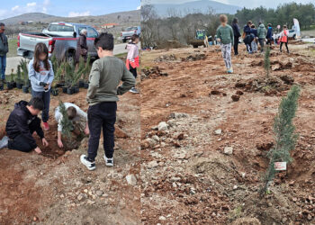 Σιάτιστα: Φύτεψαν «Δάσος Ζωής και Καρποφορίας» σε αποκατεστημένη έκταση
