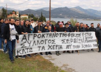 Κραυγή αγωνίας από τους κτηνοτρόφους των Σερβίων- Ζητούν άμεση άρση της καραντίνας