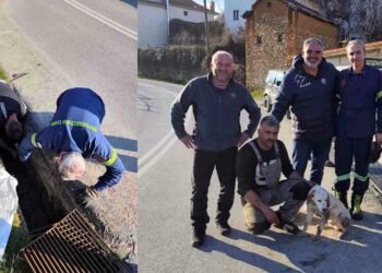 Φλώρινα: Επιχείρηση απεγκλωβισμού σκύλου από φρεάτιο