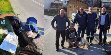 Φλώρινα: Επιχείρηση απεγκλωβισμού σκύλου από φρεάτιο