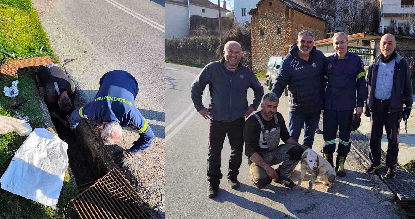 Φλώρινα: Επιχείρηση απεγκλωβισμού σκύλου από φρεάτιο