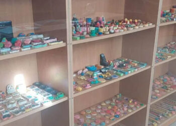 Οι 8.514 ξύστρες της Δήμητρας: Το όνειρο που γέμισε με ζωή ένα άδειο σχολείο στη Φλώρινα