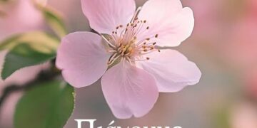 Ένα κλαδί με ροζ άνθη κερασιάς στολίζει την αφίσα για την γιορτή της άνοιξης στο Βόιο, καλωσορίζοντας τον Μάη στο Μικρόκαστρο.