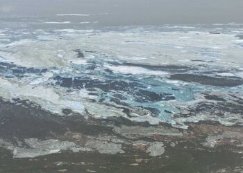 Λευκές γραμμές και «αφροί» στην επιφάνεια της λίμνης Πολυφύτου  – Ελήφθησαν δείγματα