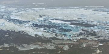 Λευκές γραμμές και «αφροί» στην επιφάνεια της λίμνης Πολυφύτου  – Ελήφθησαν δείγματα