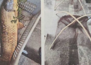 Δύο συλλήψεις από την ΕΛ.ΑΣ. στη λίμνη Βεγορίτιδα για παράνομη αλιεία