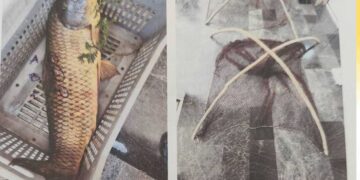 Δύο συλλήψεις από την ΕΛ.ΑΣ. στη λίμνη Βεγορίτιδα για παράνομη αλιεία