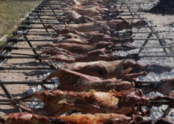 Νέα ανατροπή με τον καιρό της Κυριακής του Πάσχα – Πού μένει η πιθανότητα για πρόσκαιρη μπόρα στη Δυτική Μακεδονία