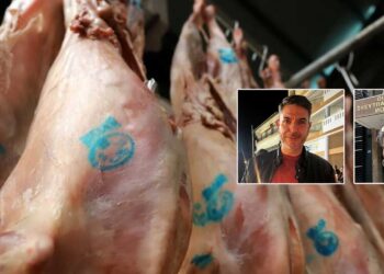 Πάσχα με ακριβό αρνί: Πίεση στην αγορά και ανησυχία για επάρκεια