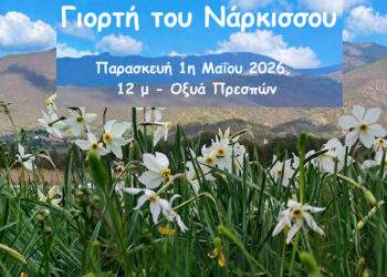 Η Γιορτή του Νάρκισσου επιστρέφει στην Πρέσπα με μουσική, χορό και δράσεις για παιδιά