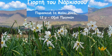 Η Γιορτή του Νάρκισσου επιστρέφει στην Πρέσπα με μουσική, χορό και δράσεις για παιδιά