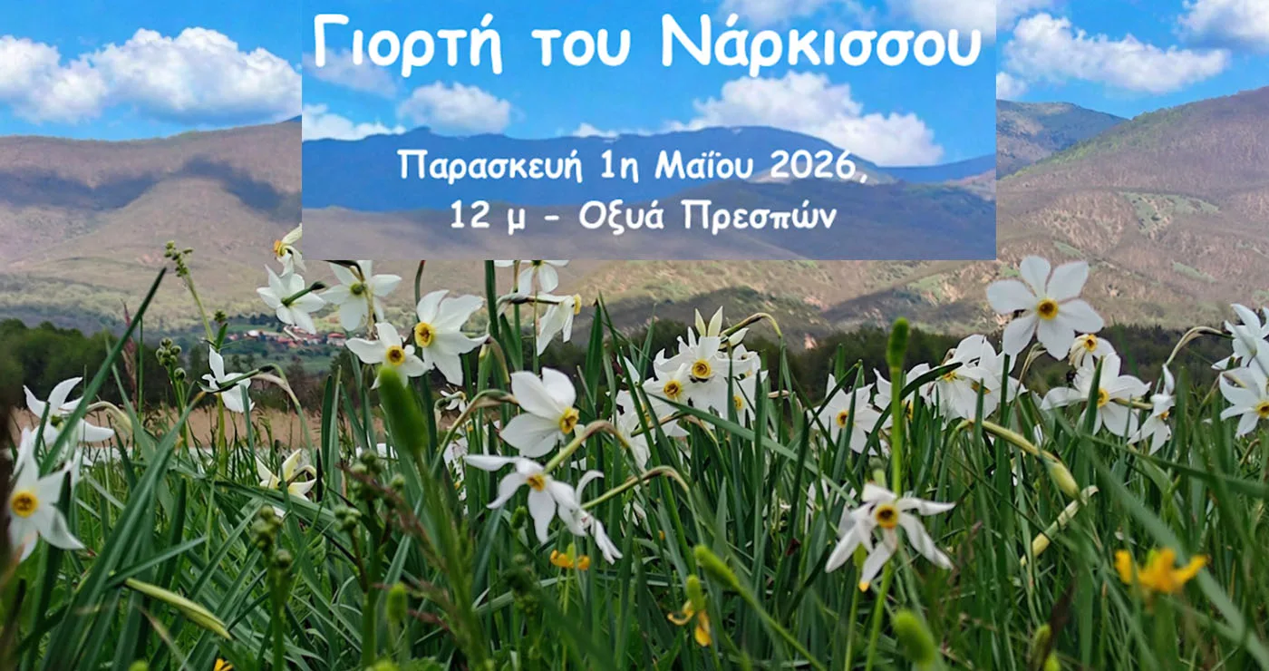 Η Γιορτή του Νάρκισσου επιστρέφει στην Πρέσπα με μουσική, χορό και δράσεις για παιδιά