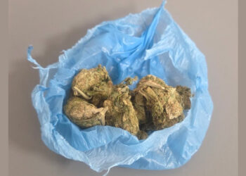 19χρονος με 10,5 γραμμάρια κάνναβης συνελήφθη στα Γρεβενά