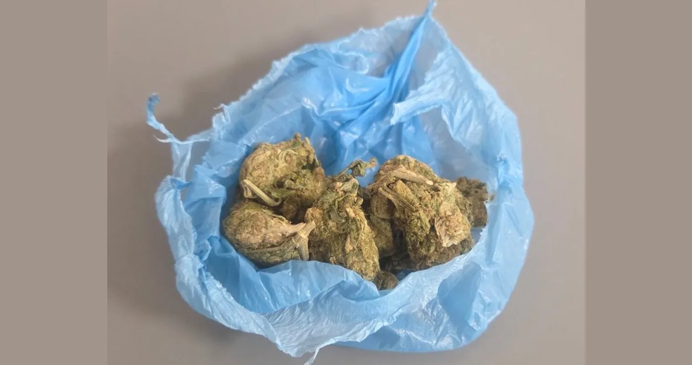 19χρονος με 10,5 γραμμάρια κάνναβης συνελήφθη στα Γρεβενά